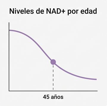 Parches NAD+™ Energizante Celular